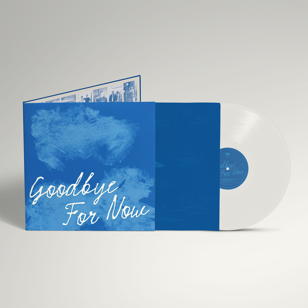 Goodbye For Now - Vinyl